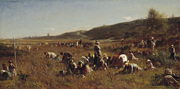 Thumbnail of 'The Cranberry Harvest, Island of Nantucket'